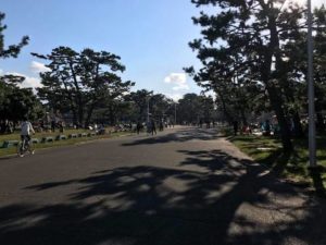 浜寺公園の歩道１